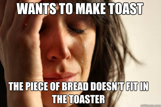 Wants to make toast The Piece of bread doesn't fit in the toaster  First World Problems