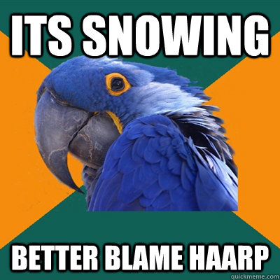 its snowing better blame haarp  Paranoid Parrot