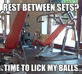 Rest between sets? Time to lick my balls  