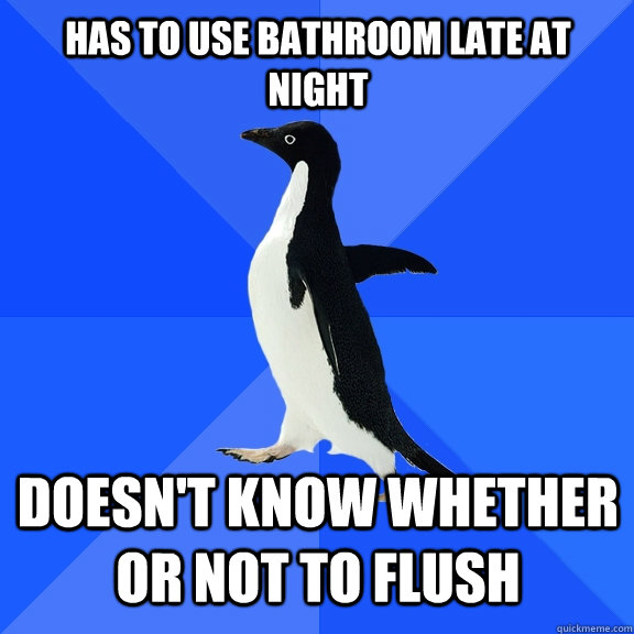 Has to use bathroom late at night Doesn't know whether or not to flush  Socially Awkward Penguin