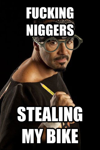 FUCKING NIGGERS STEALING MY BIKE  