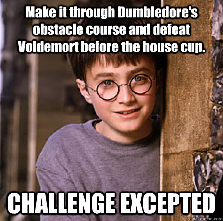 Make it through Dumbledore's obstacle course and defeat Voldemort before the house cup. CHALLENGE EXCEPTED  