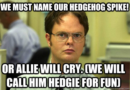 We MUST name our hedgehog SPIKE! Or Allie will cry. (We will call him hedgie for fun)  Schrute