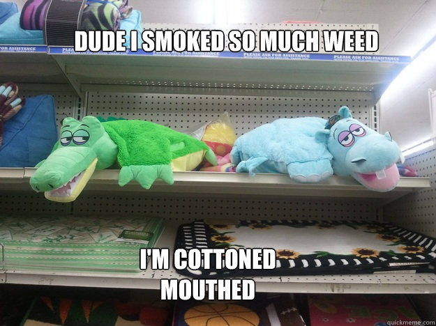Dude I smoked so much weed  I'm cottoned mouthed - Dude I smoked so much weed  I'm cottoned mouthed  10 Toys