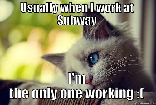 USUALLY WHEN I WORK AT SUBWAY I'M THE ONLY ONE WORKING :( First World Problems Cat