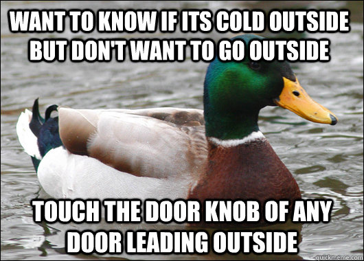 want to know if its cold outside but don't want to go outside touch the door knob of any door leading outside  Actual Advice Mallard
