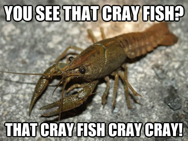 You See that cray fish? That cray fish cray cray!  Cray Crayfish
