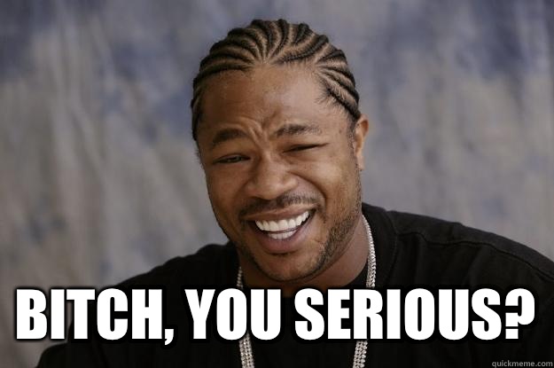  Bitch, you serious?  Xzibit meme