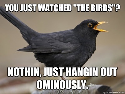 You just watched 