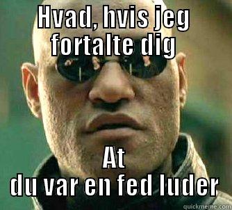 HVAD, HVIS JEG FORTALTE DIG AT DU VAR EN FED LUDER Matrix Morpheus