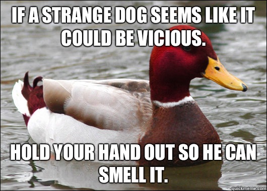 If a strange dog seems like it could be vicious.  Hold your hand out so he can smell it.   Malicious Advice Mallard