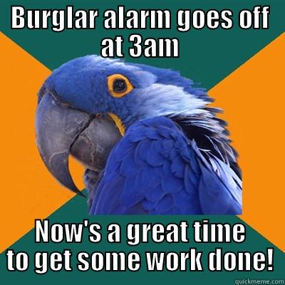 BURGLAR ALARM GOES OFF AT 3AM NOW'S A GREAT TIME TO GET SOME WORK DONE! Paranoid Parrot