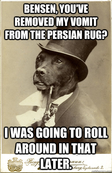 Bensen, you've removed my vomit from the persian rug? I was going to roll around in that later. - Bensen, you've removed my vomit from the persian rug? I was going to roll around in that later.  Old Money Dog