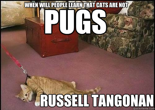 Pugs Russell Tangonan when will people learn that cats are not  Cats are not dogs