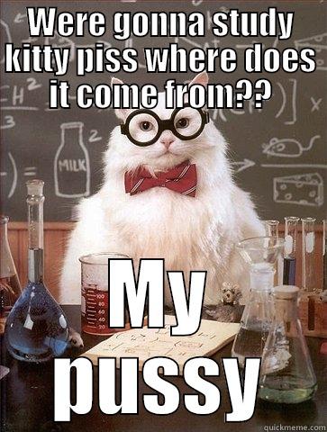 WERE GONNA STUDY KITTY PISS WHERE DOES IT COME FROM?? MY PUSSY Chemistry Cat
