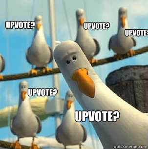 Upvote?
 Upvote? Upvote? Upvote? Upvote?  seagulls