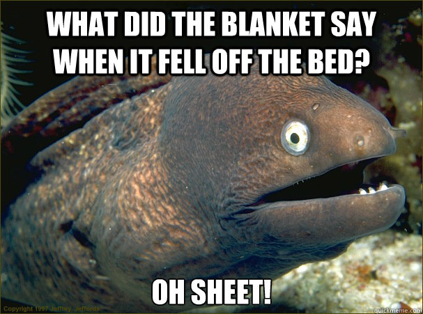 What did the blanket say when it fell off the bed? Oh sheet!  Bad Joke Eel