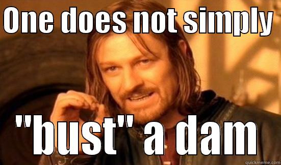 ONE DOES NOT SIMPLY  