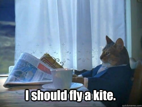 I should fly a kite.  - I should fly a kite.   Fancy Cat