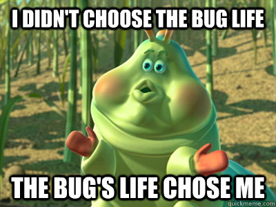 I didn't choose the bug life The bug's life chose me - I didn't choose the bug life The bug's life chose me  Misc