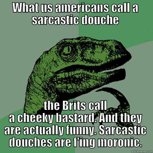 WHAT US AMERICANS CALL A SARCASTIC DOUCHE THE BRITS CALL A CHEEKY BASTARD. AND THEY ARE ACTUALLY FUNNY. SARCASTIC DOUCHES ARE F'ING MORONIC. Philosoraptor