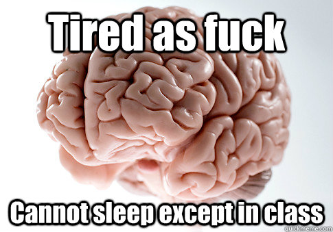 Tired as fuck Cannot sleep except in class  - Tired as fuck Cannot sleep except in class   Scumbag Brain