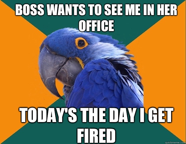 Boss wants to see me in her office Today's the day I get fired  Paranoid Parrot