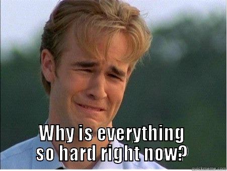  WHY IS EVERYTHING SO HARD RIGHT NOW? 1990s Problems