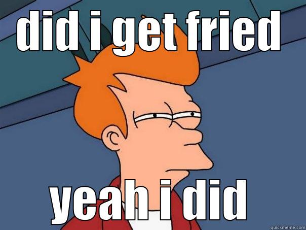 DID I GET FRIED YEAH I DID Futurama Fry