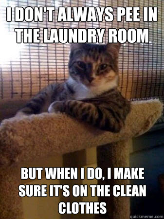 I don't always pee in the laundry room but when I do, I make sure it's on the clean clothes  The Most Interesting Cat in the World