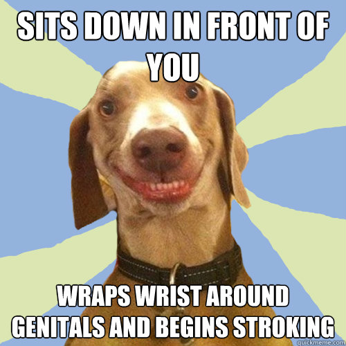 Sits down in front of you Wraps wrist around genitals and begins stroking - Sits down in front of you Wraps wrist around genitals and begins stroking  Disgusting Doggy
