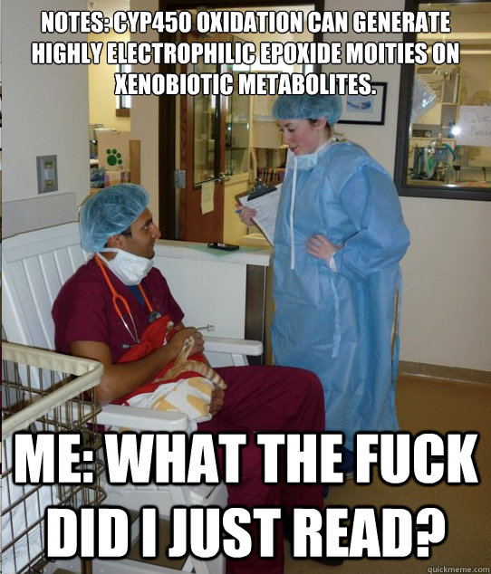 Notes: CYP450  oxidation  can  generate  highly  electrophilic  epoxide  moities  on  xenobiotic  metabolites. Me: What the fuck did I just read? - Notes: CYP450  oxidation  can  generate  highly  electrophilic  epoxide  moities  on  xenobiotic  metabolites. Me: What the fuck did I just read?  Overworked Veterinary Student