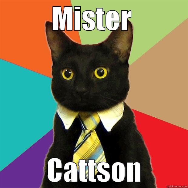 MISTER  CATTSON Business Cat