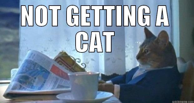 NOT GETTING A CAT  Misc