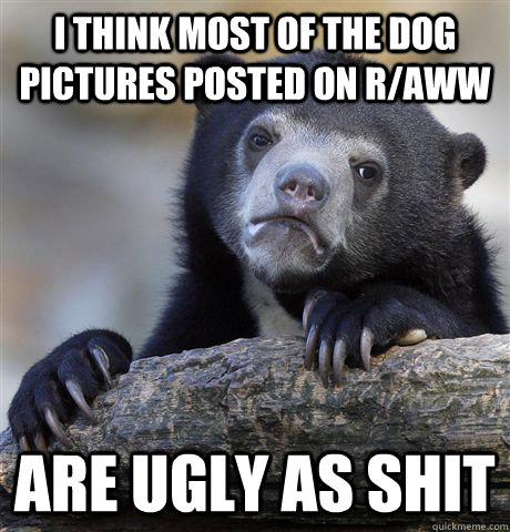 I think most of the dog pictures posted on r/aww are ugly as shit - I think most of the dog pictures posted on r/aww are ugly as shit  Confession Bear