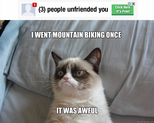 I went mountain biking once it was awful - I went mountain biking once it was awful  Grumpy Cat on Being Unfriended