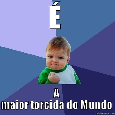 É A MAIOR TORCIDA DO MUNDO Success Kid