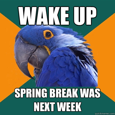wake up spring break was next week  Paranoid Parrot