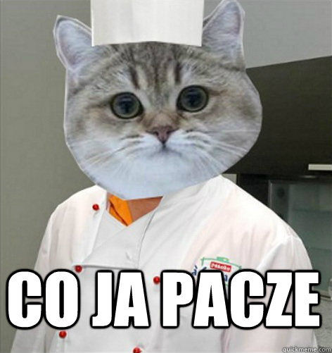 Vademecum str. 234 Co ja pacze  co ja pacze