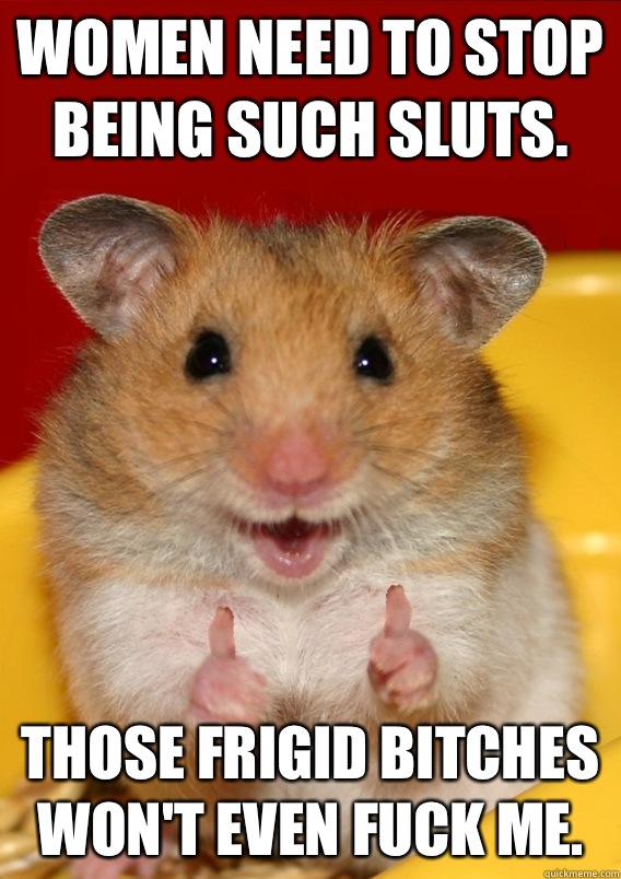 Women need to stop being such sluts. Those frigid bitches won't even fuck me.   Rationalization Hamster