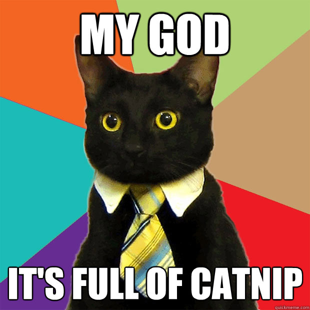 MY GOD IT'S FULL OF CATNIP  Business Cat