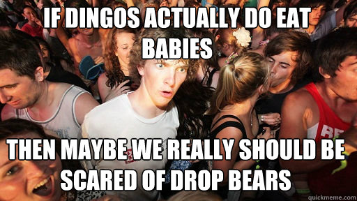 If dingos actually do eat babies
 then maybe we really should be scared of drop bears  Sudden Clarity Clarence