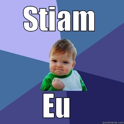 STIAM EU  Success Kid