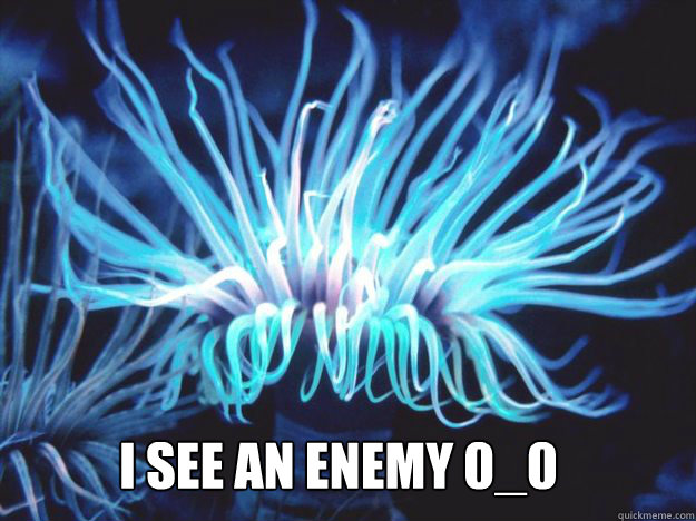 I see an Enemy 0_0 - I see an Enemy 0_0  Sea Anemone