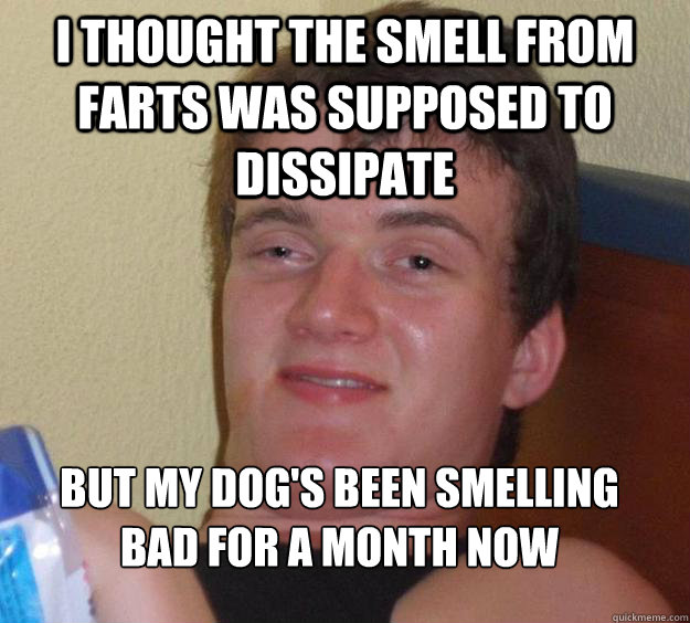 I thought the smell from farts was supposed to dissipate 
But my dog's been smelling bad for a month now - I thought the smell from farts was supposed to dissipate 
But my dog's been smelling bad for a month now  10 Guy