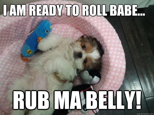 I am ready to roll babe... rub ma belly!  