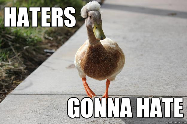 HATERS Gonna HATE  Duckfro