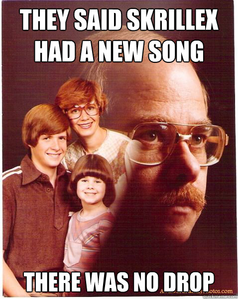 They said Skrillex had a new song there was no drop  Vengeance Dad