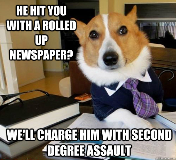 he hit you with a rolled up newspaper? we'll charge him with second degree assault  Lawyer Dog