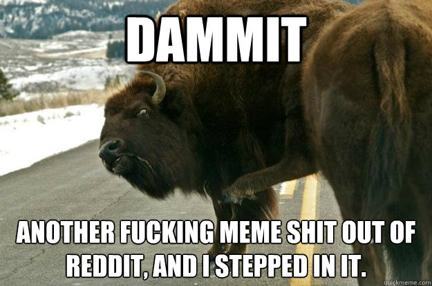 Dammit Another fucking meme shit out of Reddit, and I stepped in it.
  Bumbling Buffalo
